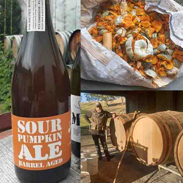 Farmhouse and Wild Exploration Mixed Pack