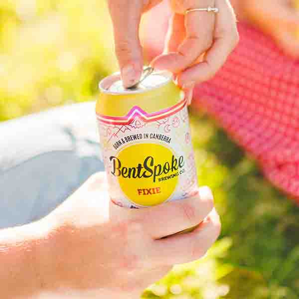 Ginger Beer Mixed Pack