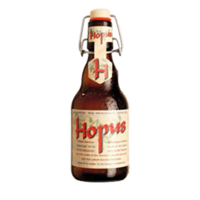 Lefebvre Hopus