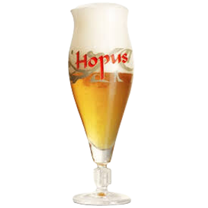 Lefebvre Hopus Beer Glass