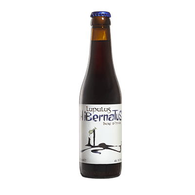 Lupulus Hibernatus Strong Ale