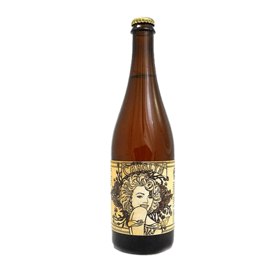 Penyllan Carolyn Wild Ale
