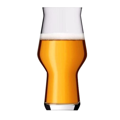 Rastal Craft Master One Beer Glass