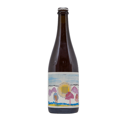 Wildflower Sensation of Colour Brachetto Grape Australian Wild Ale 750ml Bottle
